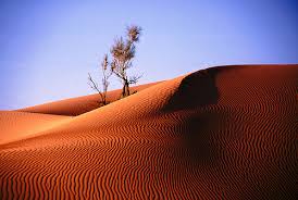 Najveće pustinje na svetu  Images?q=tbn:ANd9GcTuG_7o8v-ddASx72XdBJV6z9Mn5LBAw-n0ELKWN_VKJA1D-CQJjAdzrbjkBA