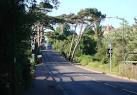Dip in the road, Dartmouth Road near to Clennon Valley - via Daymix