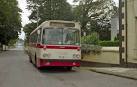 J0703 : The Violet Bus Service - via Daymix
