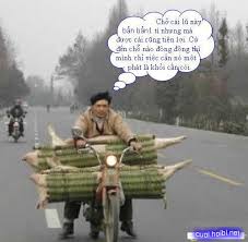 Những hình ảnh hài hước  chỉ có ở Việt Nam Images?q=tbn:ANd9GcTuPXQ66ZLIJcjrXDy2noCWaCtoGnTtVfec-PJCui_RglPxz83_