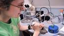 Erica Ehrhardt '10 studies