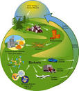 North American Interests: Biofuels Getting Heavy Investment From ...