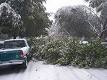 SNOW - Wikipedia, the free encyclopedia