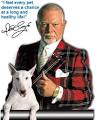 CherryBlue Pet Insurance Programs