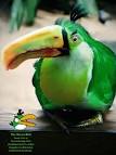 Witty Funny Angry Birds in Real Life A Sweet Imagination