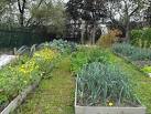 well as growing vegetables - via Daymix