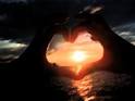 I WANT DAVID TO FALL IN LOVE WITH ME!!!...