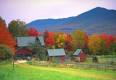 vermont_foliage_sm.jpg