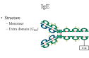 IMMUNOGLOBULINS - STRUCTURE AND FUNCTION