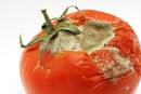 ROTTEN TOMATOES sucks - League of Legends Community