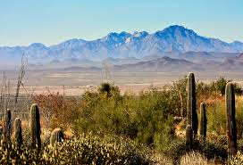  Pest Control Peoria AZ