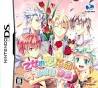 Image result for nds dating sim english