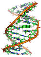 Astrobiology - Wikipedia, the free encyclopedia