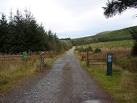 SN8587 : Track in Hafren Forest. 3 km from Geufron, Powys, Great Britain - via Daymix