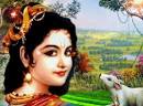 with Shri Radha-Krishna's