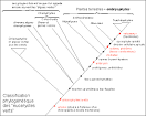 cours de seconde - biologie II: cellule, ADN et unité du vivant