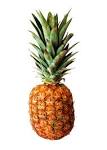 By the way, <b>anana</b> is Italian