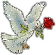 [صورة: images?q=tbn:ANd9GcTwkfcUi0WkPlMCyjVAElU...PhhlICv22g]
