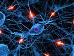 Skoolshop: New Years Resolution: Improve your Scientific Knowledge