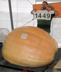 http://t3.gstatic.com/images?q=tbn:ANd9GcTx2-fQtqtZOqTEru5GRauxFCPAgKtzFyAxx_ocWBoraJbQpkfQ9w