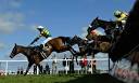 Horse sperm loses value as study prioritises nurture over nature ...