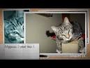 How to make a scratching post for a cat - Worldnews.