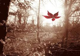 [Image: images?q=tbn:ANd9GcTxPkssurosdOef13d0-O-...SaI9TKvj8c]