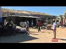 500 feared dead in Mediterranean migrant shipwreck: Report - WorldNews