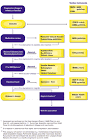 Alzheimer's Association - Diagnostic Procedures