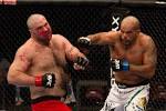 Wallpapers de UFC HD - Taringa!