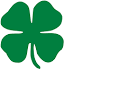 Image result for four leaf clover