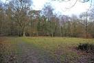 the wood was used as a location site in one of the Star Wars movies. - via Daymix