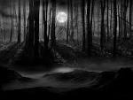 Moon Photos and Pictures | 1003 Items | Page 6 of 42