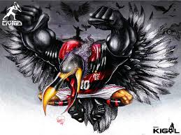 images?q=tbn:ANd9GcTyHZOqDi7mWxtAbotc-_OLZkRI7s29UR6YV0S9xDjBIeMPZGUrsw