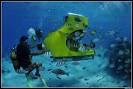 Aquabike Adventure - Bora Bora - Reviews of Aquabike Adventure ...