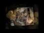 Tracey Ann -  Em
ail, Address,  ...