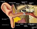 Ear Infection Causes, Symptoms, and Emergency Treatment on ...