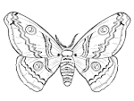 Dibujos para colorear de corazones con alas - Dibujos para ...