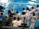 Nl Europees Kampioenschap Waterpolo