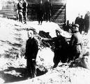 Einsatzgruppen www.