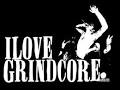 Which do you prefer? Grindcore or Deathcore?