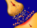 Opioid Abuse - EmpowHER.