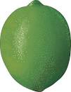 lime: Definition from Answers.