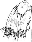 Porcupine coloring page