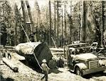 Linebaugh Logging, Photos and History « Sierra Nevada Logging Museum