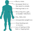 Preventing TYPE 2 DIABETES with Lifestyle | Natural Holistic ...