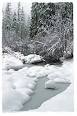 SNOWy_stream.jpg