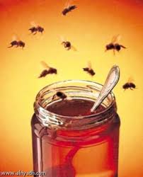 فوائد العسل 245014