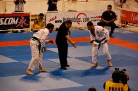 kron gracie