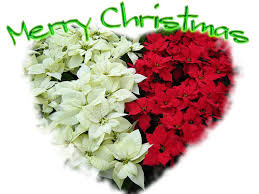 christmas greetings wishes